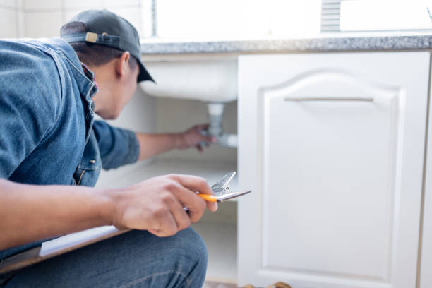 Best Commercial Plumbing Services  in Dupo, IL